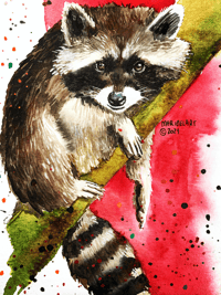 Racoon with watercolors 