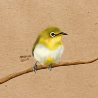 American goldfinch digital illustration