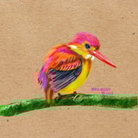 King fisher bird digital illustration