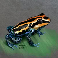 Poisonous toad digital illustration