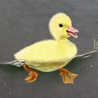 Swiming duck digital illustration