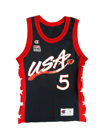 Champion Grant Hill Jersey (USA)