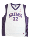 Champion Jason Kidd Jersey