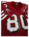 Champion Jerry Rice Jersey 