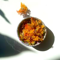 Image 2 of CARROT/MARIGOLD HAND CREAM 