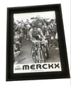 Original NOS Eddy Merckx Poster 🇧🇪 1969 Tour de France yellow jersey - Signed by the rider