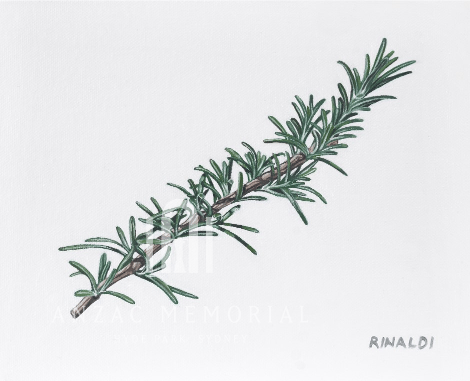 Print | A Sprig of Rosemary by Cory Rinaldi | A4 | Anzac Memorial Shop