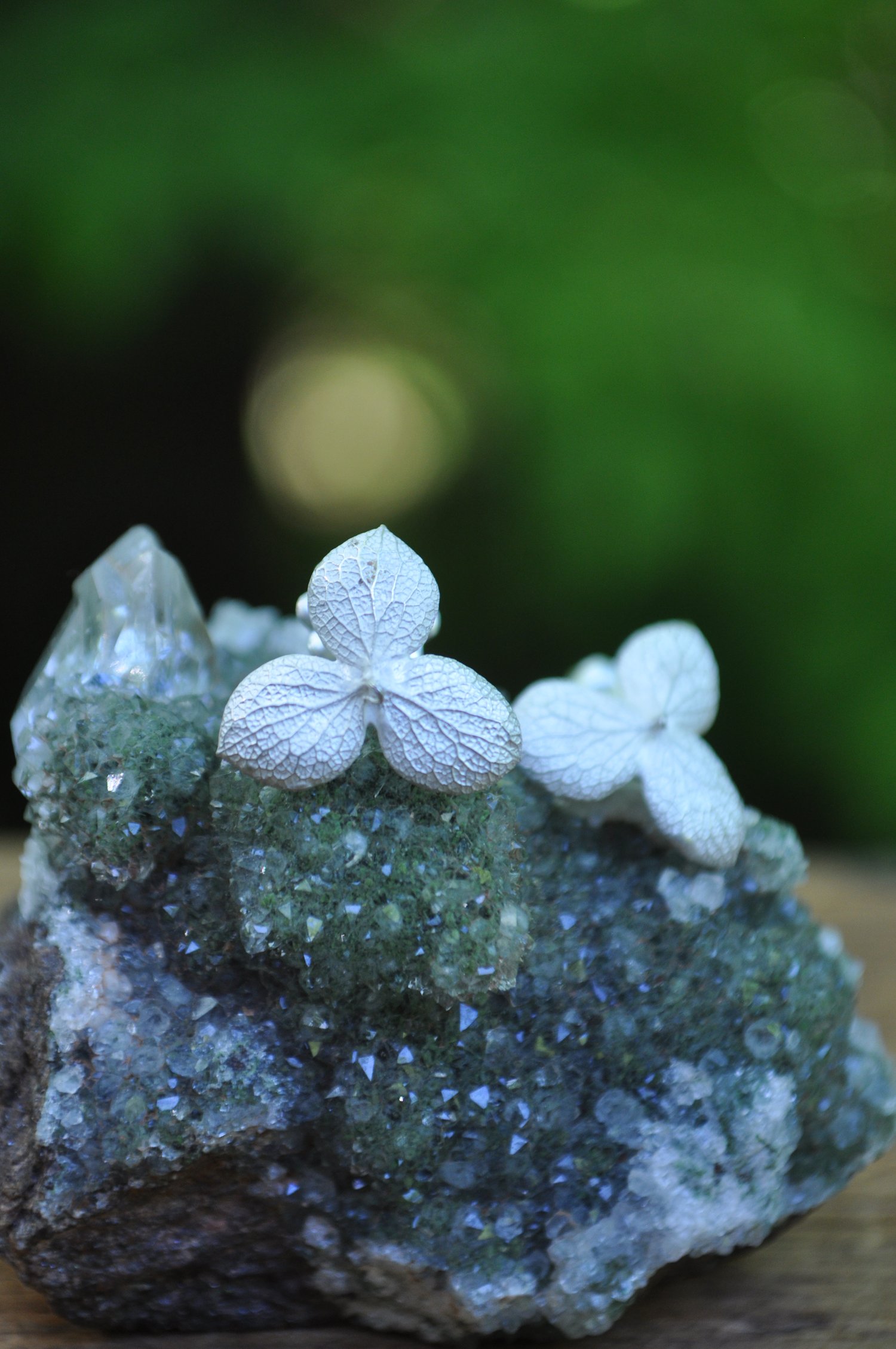 Image of One of a Kind Hydrangea Bloom Studs in Sterling Silver