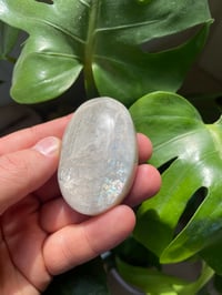 Image 1 of Moonstone Palm Crystal (1)