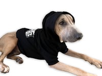 Image 5 of GATS Dog Hoodies