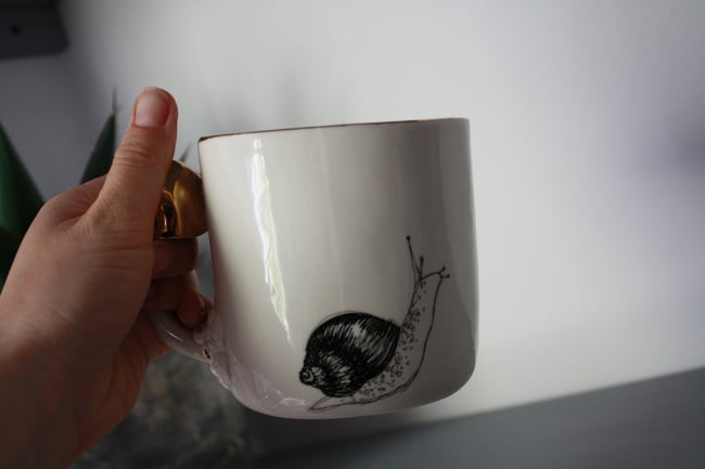 Lielā krūze ar sēni