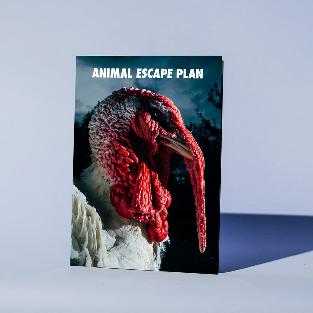 Image of Animal Escape Plan Special Edition incl. Print