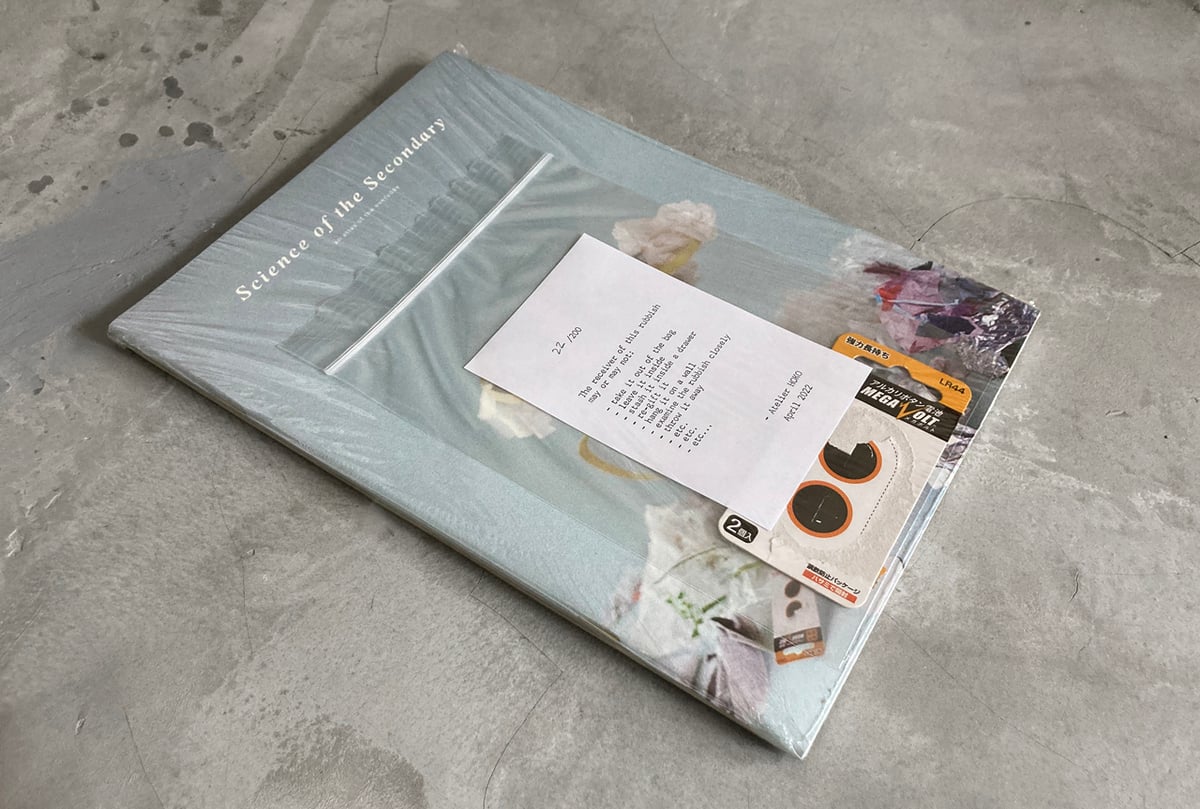 Image of Science of the Secondary Bin + Rubbish Bundle