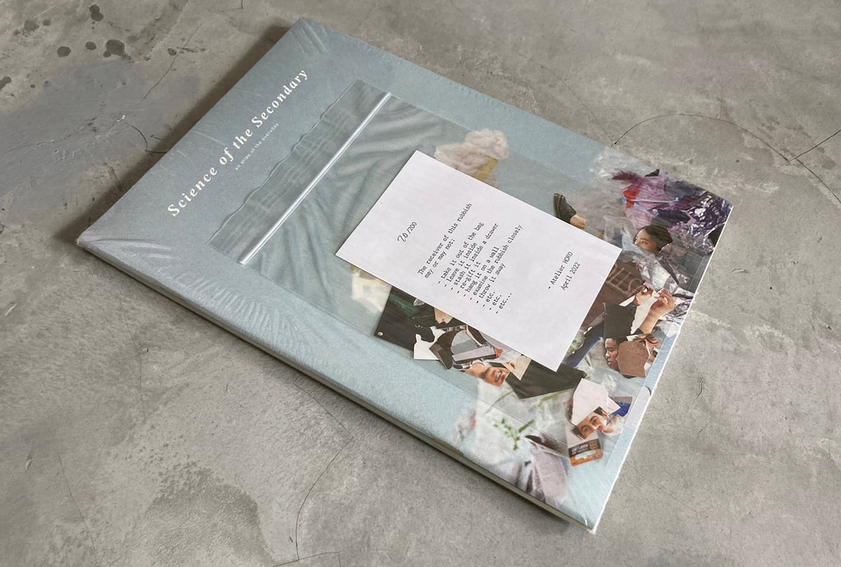 Image of Science of the Secondary Bin + Rubbish Bundle