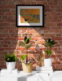 Image 3 of Blend in Autumn edition 