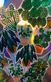 “Houseplant” Sticker Set