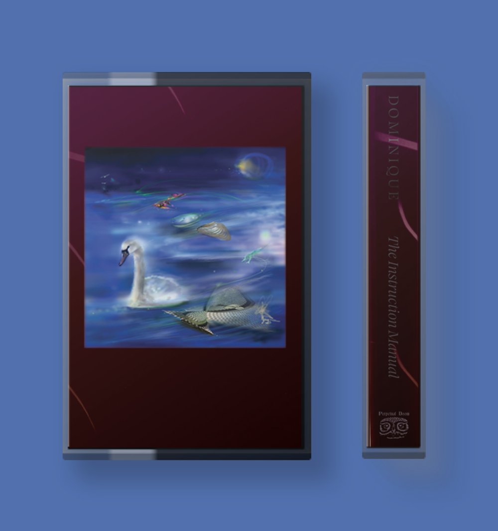 "The Instruction Manual" Cassette by Dominique