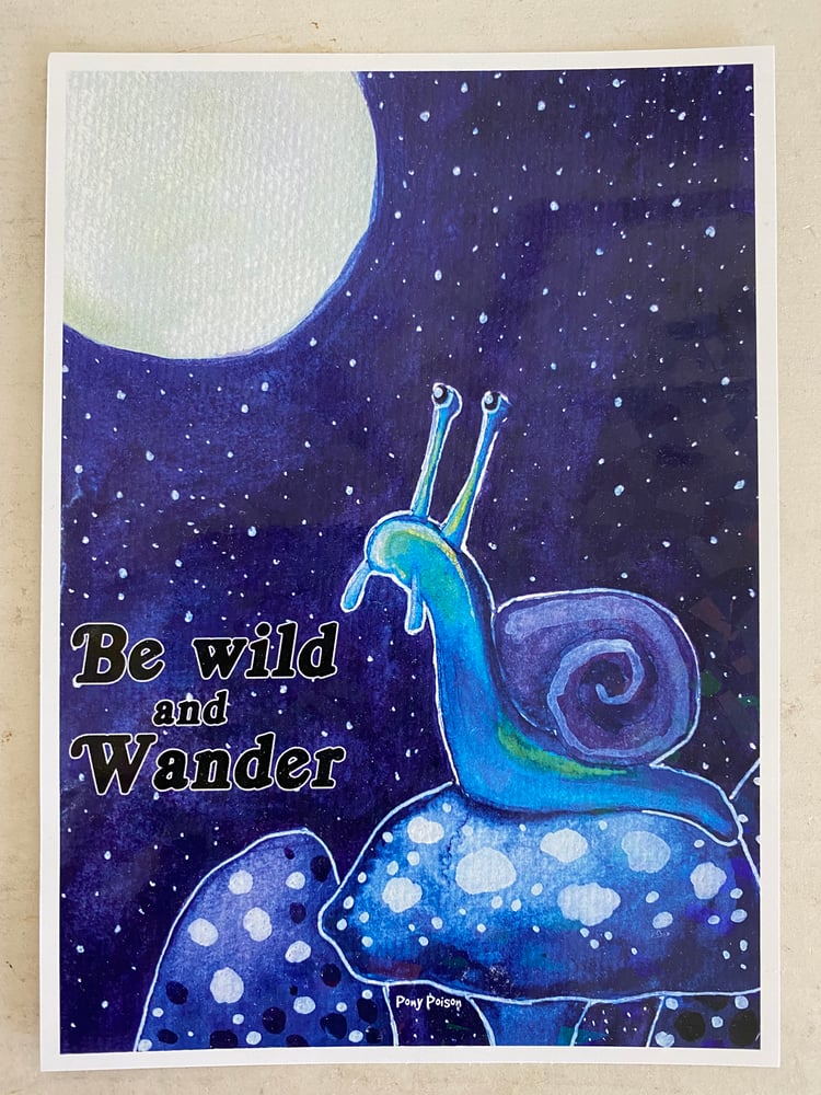 Image of Midnight Snail Print