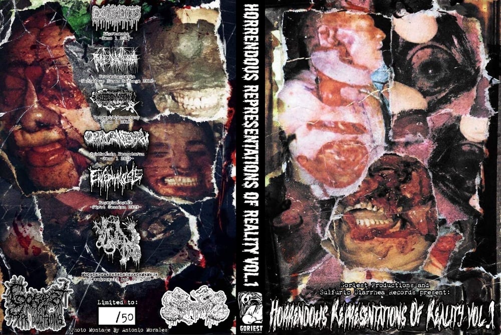 Horrendous Reality DVD