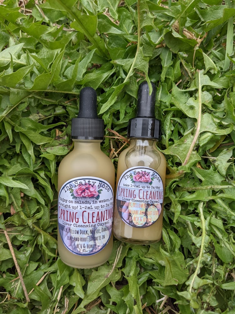 Image of Spring Cleaning Oxymel