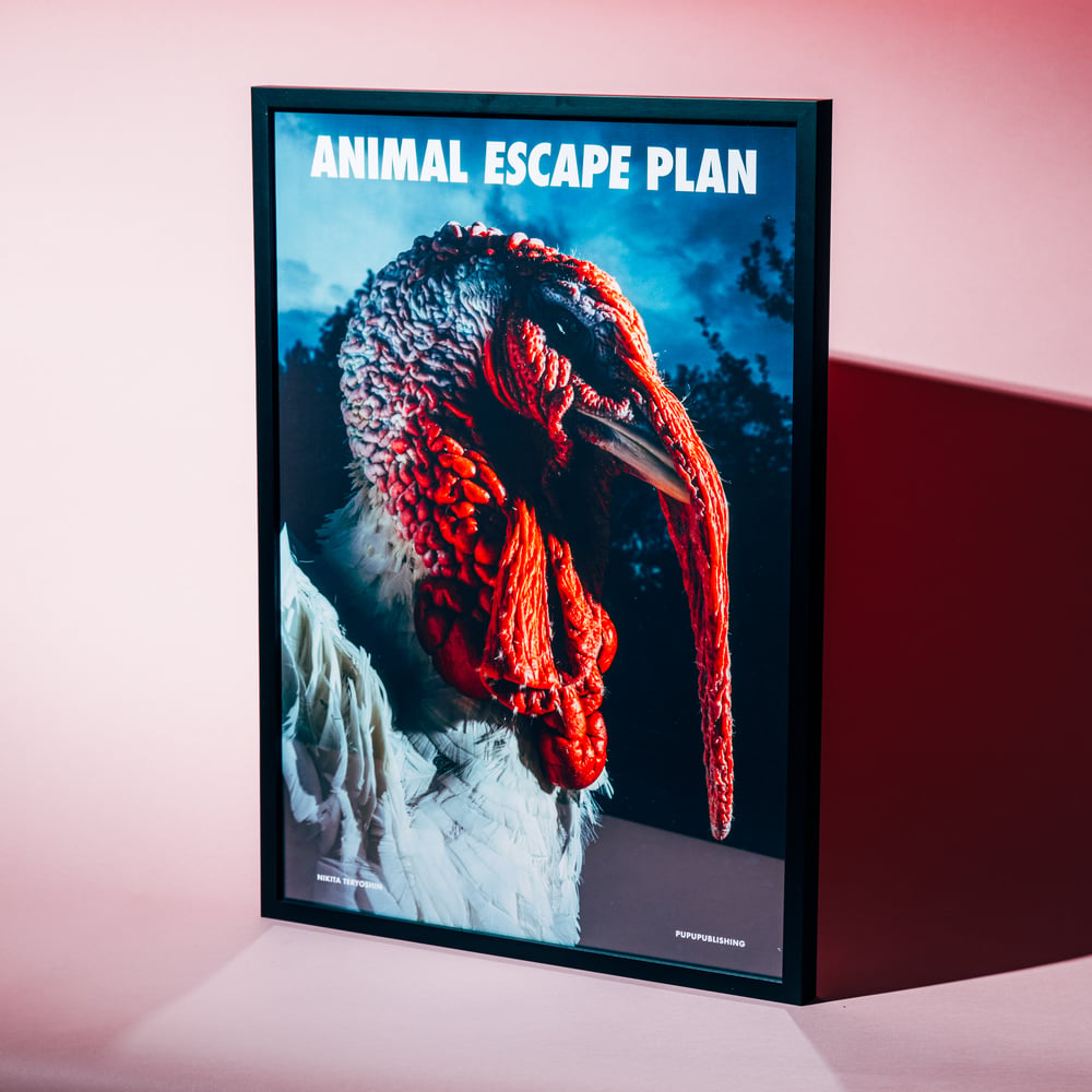 Image of Animal Escape Plan Special Edition incl. Print