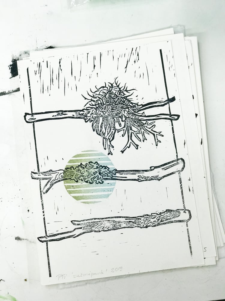 Image of Város és Vadon: Zuzmóparti - átmenetes folttal