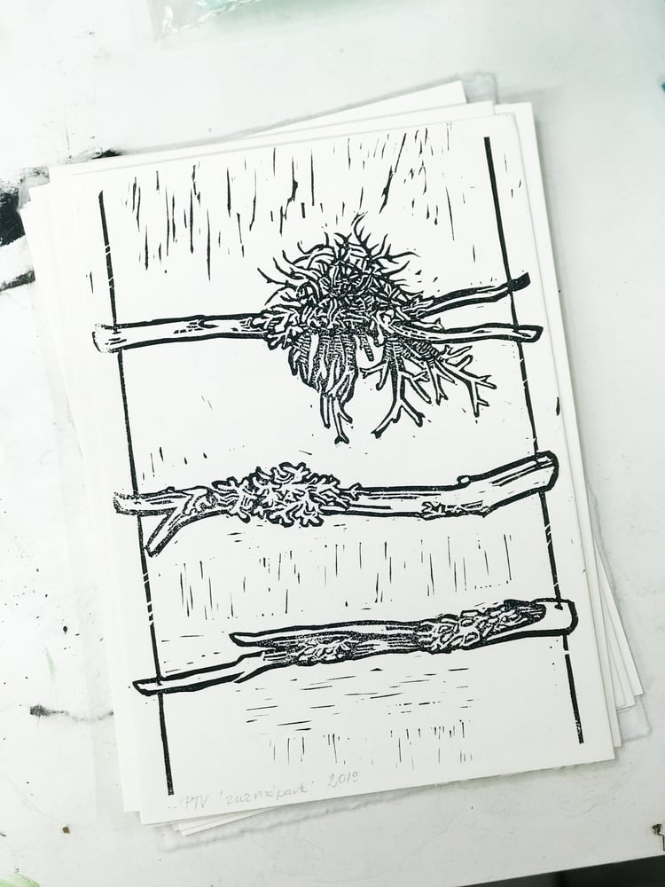 Image of Város és Vadon: Zuzmóparti