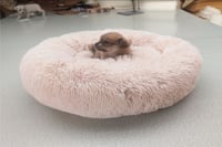 Donut Dog Bed /Dog calming Bed 