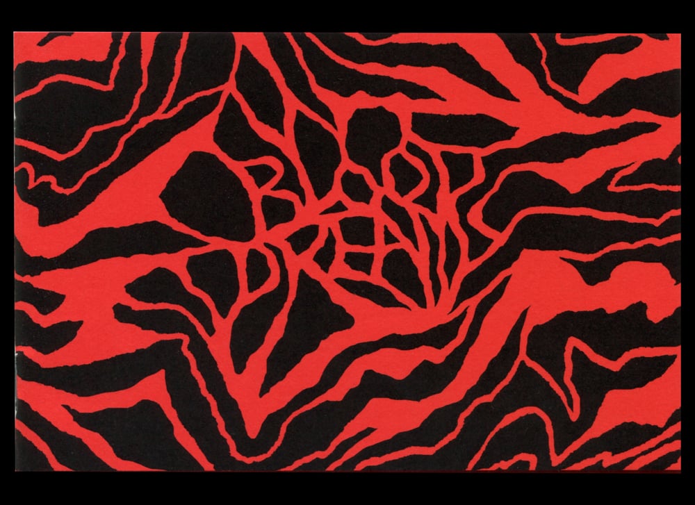 Image of Blood Dreams — a zine of menstrual dreams