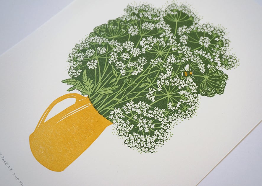 Image of Cow Parsley and the Bee - Linocut