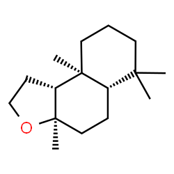 Parfum solide Incroy'Ambre  