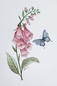 Image 3 of "Dainty Visitor" Fine Art Print 5x7