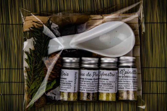 Kit d’Encens ‘Arômes de la Forêt’ (10 charbons inclus)