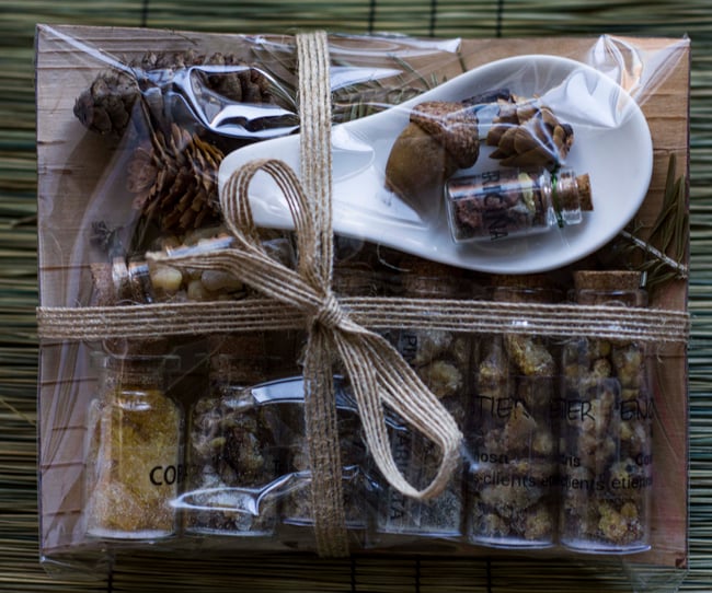 Kit d’Encens ‘Arômes de la Forêt’ (10 charbons inclus)