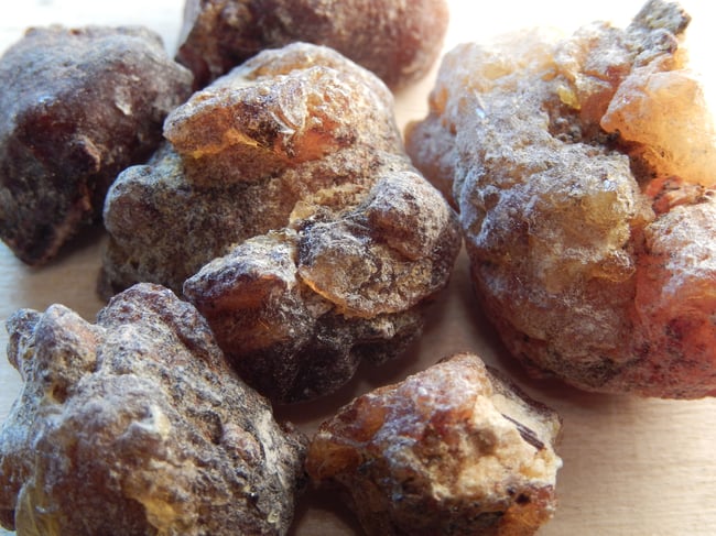 Kit d’Encens ‘Arômes de la Forêt’ (10 charbons inclus)