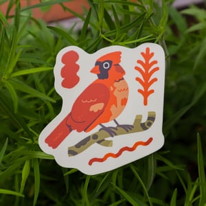Special Little Cardinal - Pride Birds