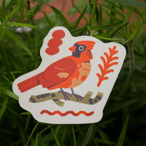 Special Little Cardinal - Pride Birds