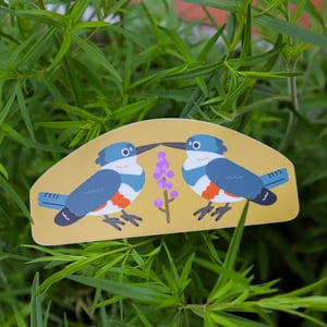 Kingfishers Sticker - Pride Birds