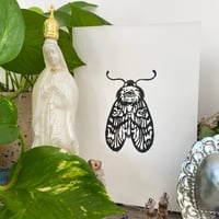 Image 3 of Sacred Moth