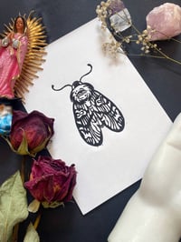 Image 4 of Sacred Moth