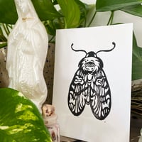 Image 2 of Sacred Moth
