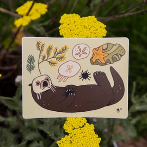 Sea Otter Coast Sticker