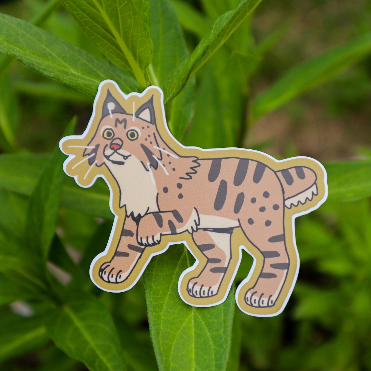 bobcat sticker