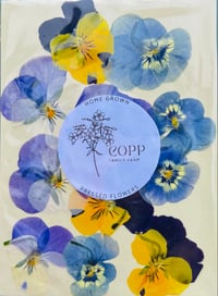 Pressed Pansies