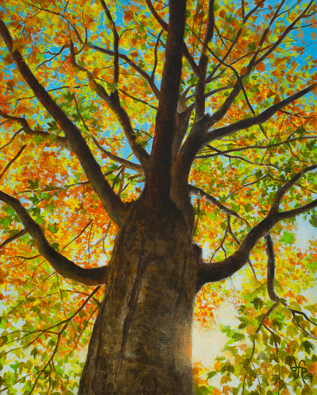 Look Up - Print