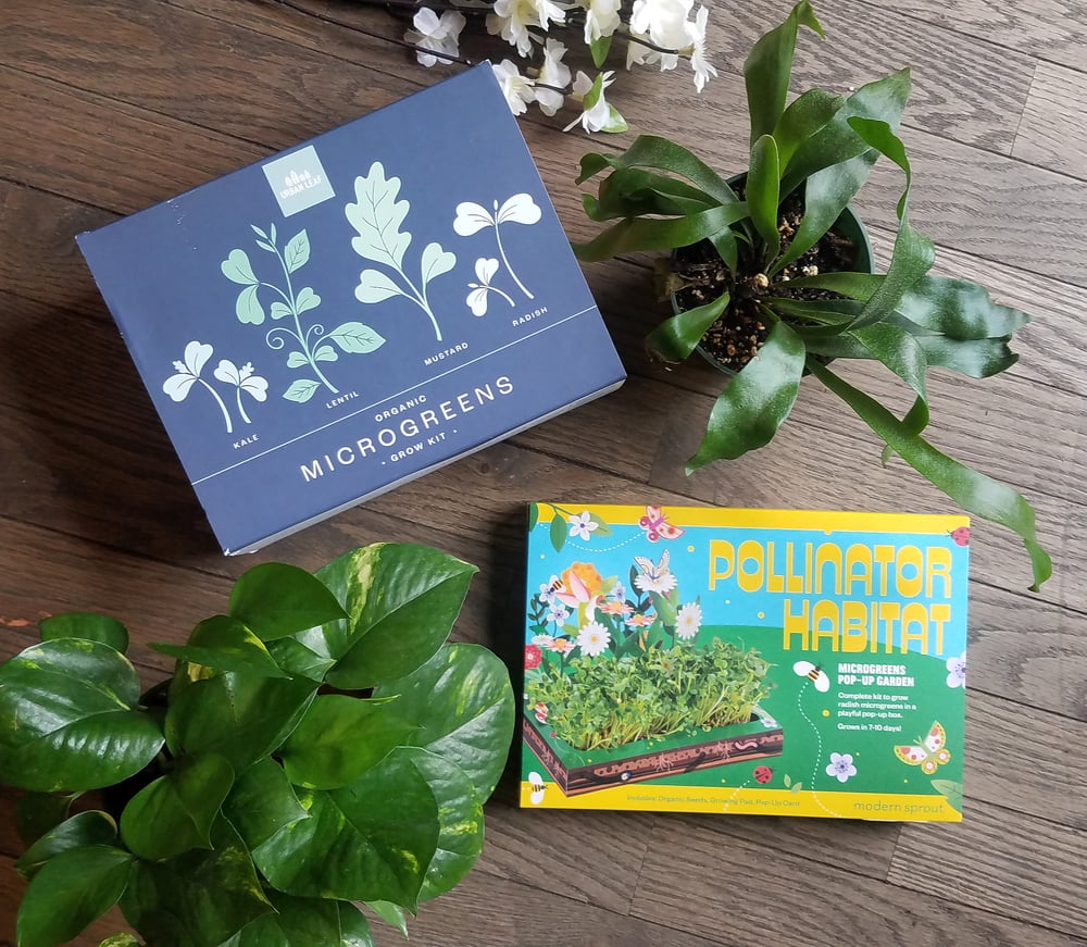 Image of Microgreens Grow Kits
