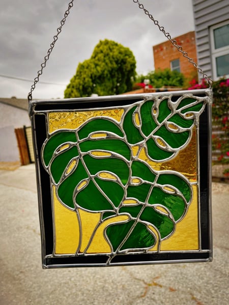 Image of golden ivy
