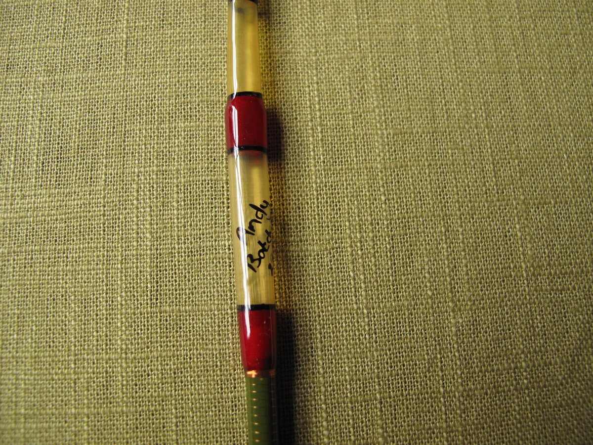 Image of Cured Goose Quill float (B)