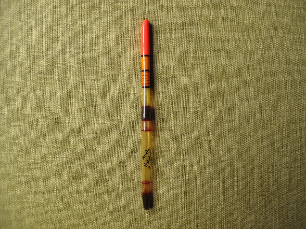 Image of Cured Goose Quill float (D)