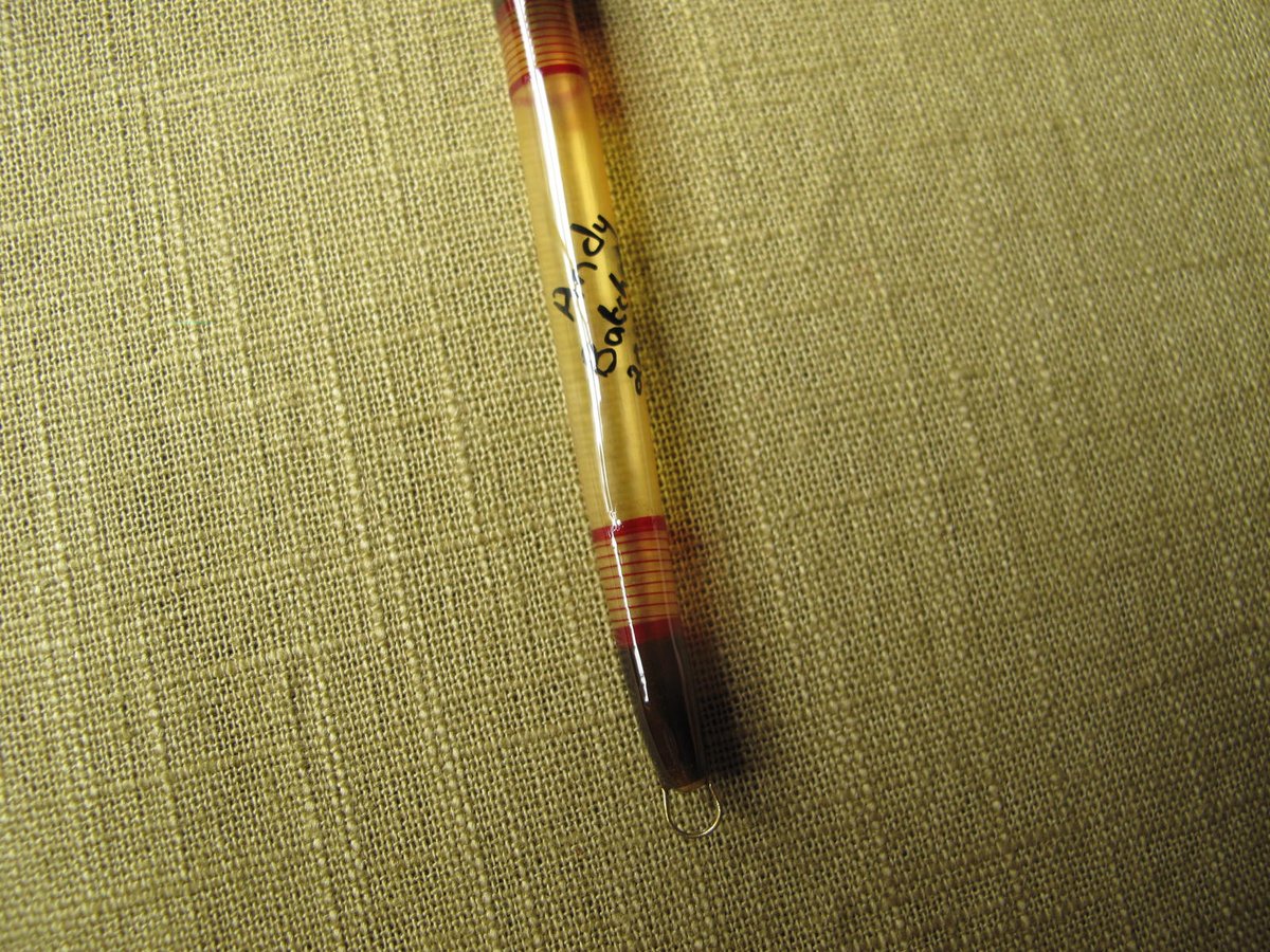 Image of Cured Goose Quill float (D)
